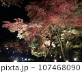 紅葉　ライトアップ 107468090