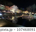 紅葉　ライトアップ 107468091