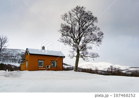 Winter Norway landscape with rorbu on the ocean beach and snow 107468252