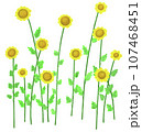 Wilgrass flower 107468451