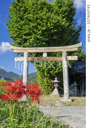 重利八幡宮と彼岸花（京都府亀岡市曽我部町） 107469745
