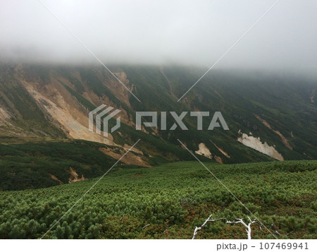 十勝岳 分岐点から見る景色 107469941