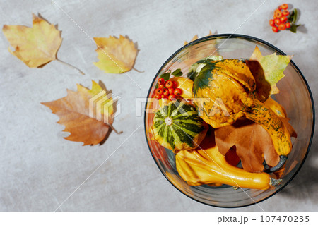 autumn flat lay on concrete background with pumpkins 107470235