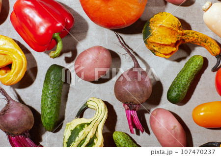 autumn flat lay on grey background with pumpkins 107470237