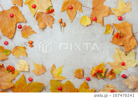 autumn flat lay on concrete background with autumn leaves 107470241