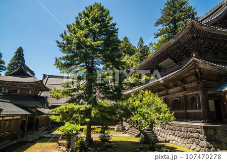 福井 真夏の青と緑に彩られた永平寺の仏殿と中庭の情景 107470278