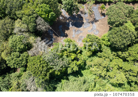 Burn soil in green forest 107470358