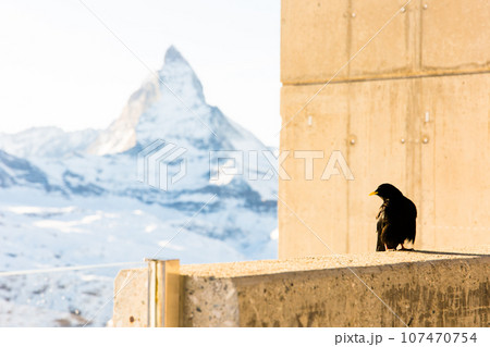 Soup on the background of the Matterhorn mountain. Zermatt, Switzerland 107470754
