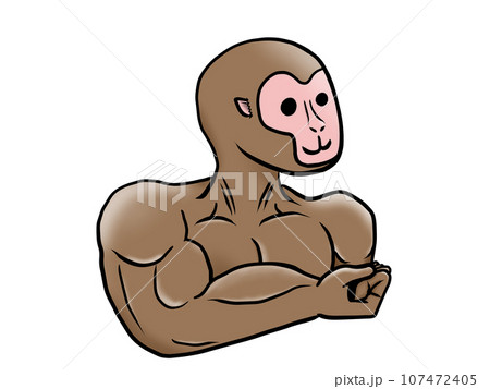 マッチョ猿_右向き 107472405