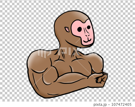 マッチョ猿_右向き 107472405