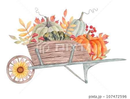 Wooden garden wheelbarrow with pumpkins and leaves, mushrooms and sunflower. Autumn composition for seasonal holidays and Thanksgiving. Harvest concept. Watercolor hand drawn isolated illustration 107472596