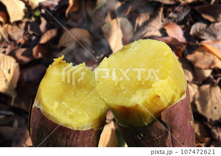 落ち葉と焼き芋 107472621