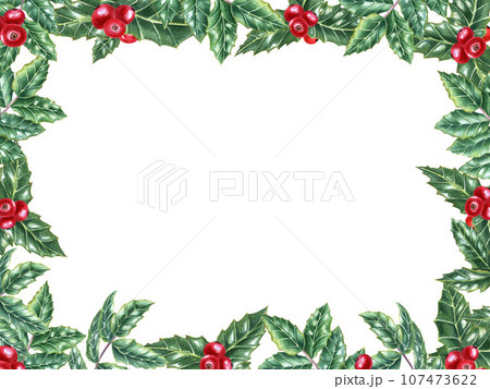 Horizontal frame of Green ilex leaves with bunch of red berries. Holly leaves, evergreen shrub. Winter natural decoration. Watercolor illustration isolated on white. For Christmas, New Year cards 107473622