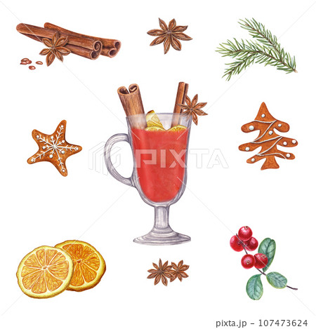 Winter beverage ingredients set. Hot spicy punch. Red berries, spruce branch, Xmas gingerbread cookies. Mulled red wine with cinnamon, star anise, orange. Watercolor illustration 107473624