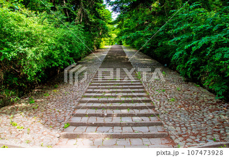 杜の都仙台　大年寺山公園　大年寺　石段 107473928