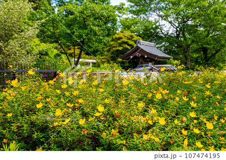 杜の都仙台 大年寺山公園 大年寺 石段 杜の都仙台 大年寺山公園 大年寺 石段 107474195