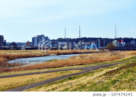 杜の都仙台 広瀬川左岸から大年寺山のテレビ塔を望む 杜の都仙台 広瀬川左岸から大年寺山のテレビ塔を望む 107474245