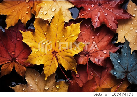 Rain-Kissed Texture of Colorful Maple Leaves, A Breathtaking Array of Hues Adorned with Dewdrops. created with Generative AI 107474779