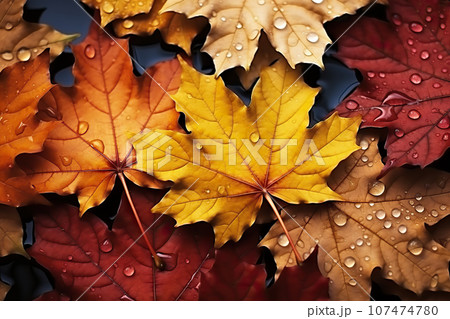 Rain-Kissed Texture of Colorful Maple Leaves, A Breathtaking Array of Hues Adorned with Dewdrops. created with Generative AI 107474780