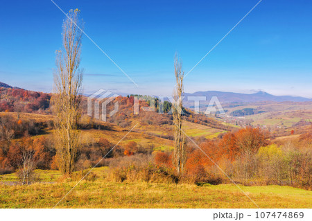 mountainous countryside in fall season. empty grassy meadows and colorful trees on the hill on a sunny autumn day 107474869
