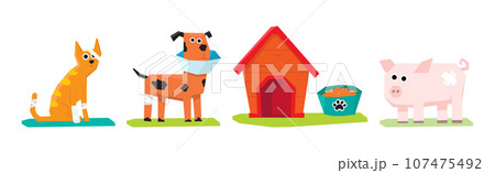 Pet Cure and Medical Treatment with Animal at Veterinary Vector Set 107475492
