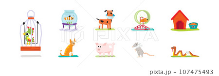 Pet Cure and Medical Treatment with Animal at Veterinary Vector Set 107475493