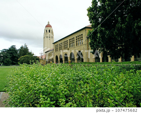 アメリカ合衆国　カリフォルニア　スタンフォード大学　キャンパス風景　フーバータワー 107475682