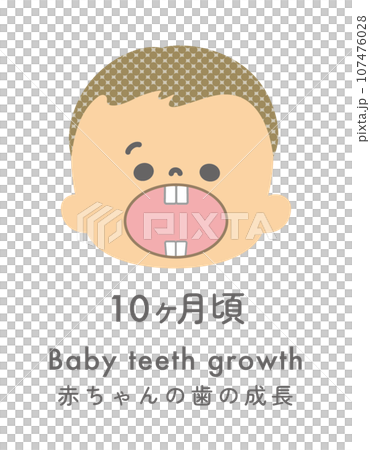 イラスト素材:赤ちゃんの歯の成長 10ヶ月ごろ イラスト素材:赤ちゃんの歯の成長 10ヶ月ごろ 107476028