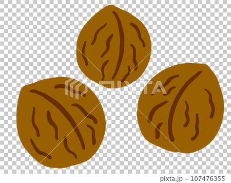 一組可愛的貝殼核桃/手繪插圖 一組可愛的貝殼核桃/手繪插圖 107476355