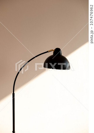 Scandinavian style interior. Close up black floor lamp against the 107476962