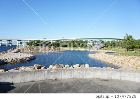 りんくう公園　関空連絡橋 107477829