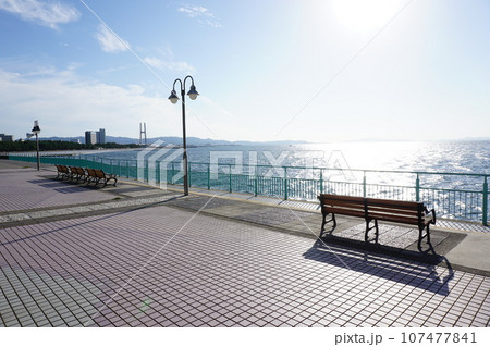 りんくう公園　関空連絡橋 107477841