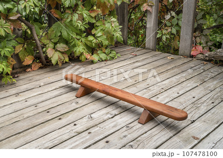 Persian shena push up board on a backyard wooden deck in fall scenery Persian shena push up board on a backyard wooden deck in fall scenery 107478100