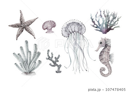 Watercolor set of sea animals isolated on white background. Hand drawn illustration 107478405