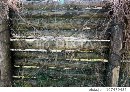 丸太でできた壁 107479485