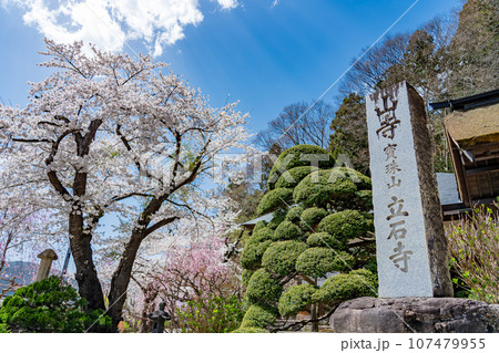 山形県山形市　山寺と通称される立石寺の登山口と春の桜 107479955