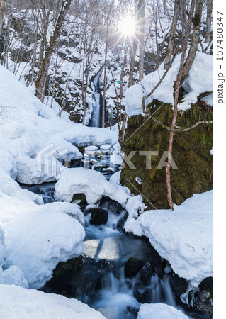 「青森県」冬の奥入瀬渓流　雲井の滝 107480347