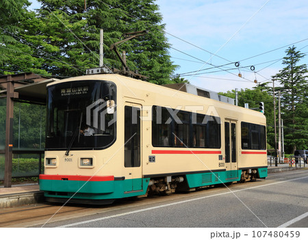 富山地方鉄道市内線　富山大学前の8000形 107480459