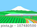 富士山を望みながら走る新幹線 107480500