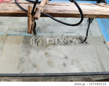 aquarium with metal items undergoing electrolysis aquarium with metal items undergoing electrolysis 107480510