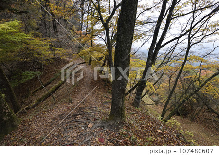 荒船山、登山、群馬県 荒船山、登山、群馬県 107480607