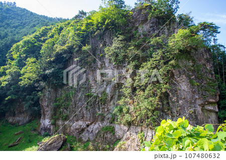 吉田川沿い　大岩の風景　 秩父郡小鹿野町 107480632