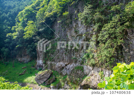 吉田川沿い　大岩の風景　 秩父郡小鹿野町 107480638