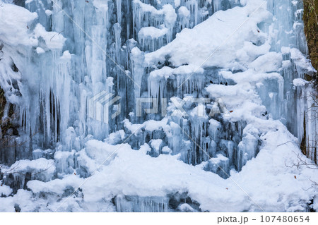 「青森県」冬の奥入瀬渓流 千筋の滝  「青森県」冬の奥入瀬渓流 千筋の滝  107480654