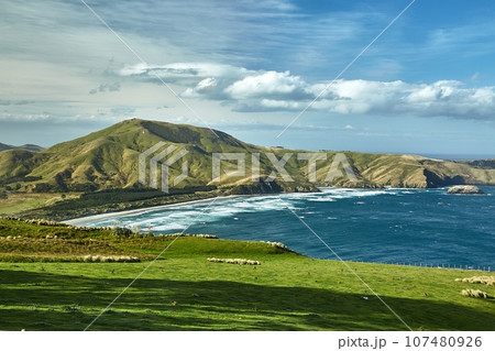 Green landscape in New Zealand, bay and hills, pastures Green landscape in New Zealand, bay and hills, pastures 107480926