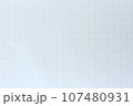 マス目の入った白い紙のアップ 107480931