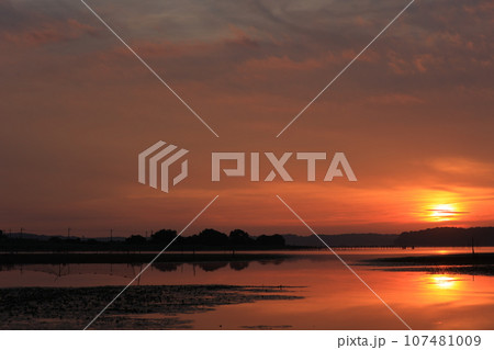 水面に映る朝焼け 107481009