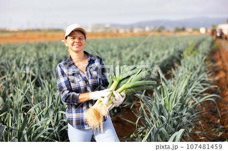 Successful female horticulturist with leeks in hands standing on field Successful female horticulturist with leeks in hands standing on field 107481459
