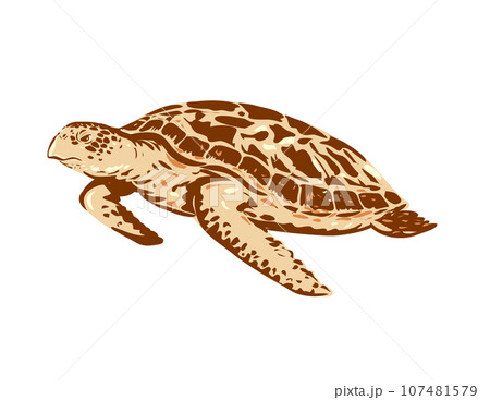 Hawksbill Sea Turtle or Eretmochelys Imbricata Side View WPA Art 107481579