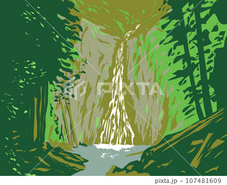 Madison Falls in Olympic National Park Washington State WPA Poster Art Madison Falls in Olympic National Park Washington State WPA Poster Art 107481609